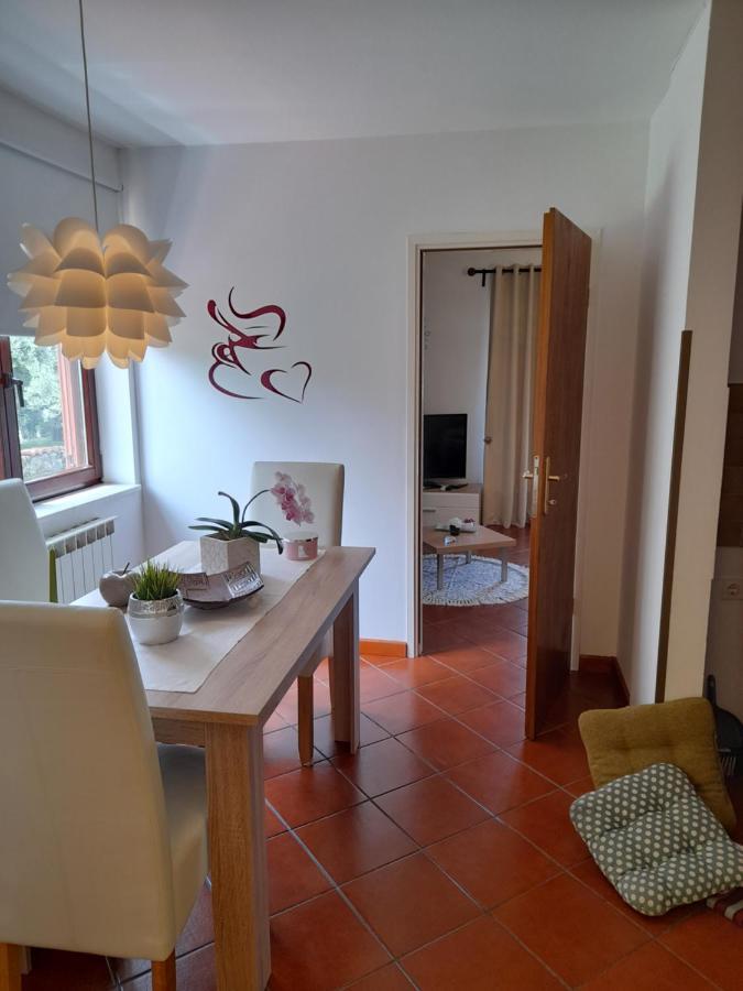 Villa Iva Porec Exterior photo