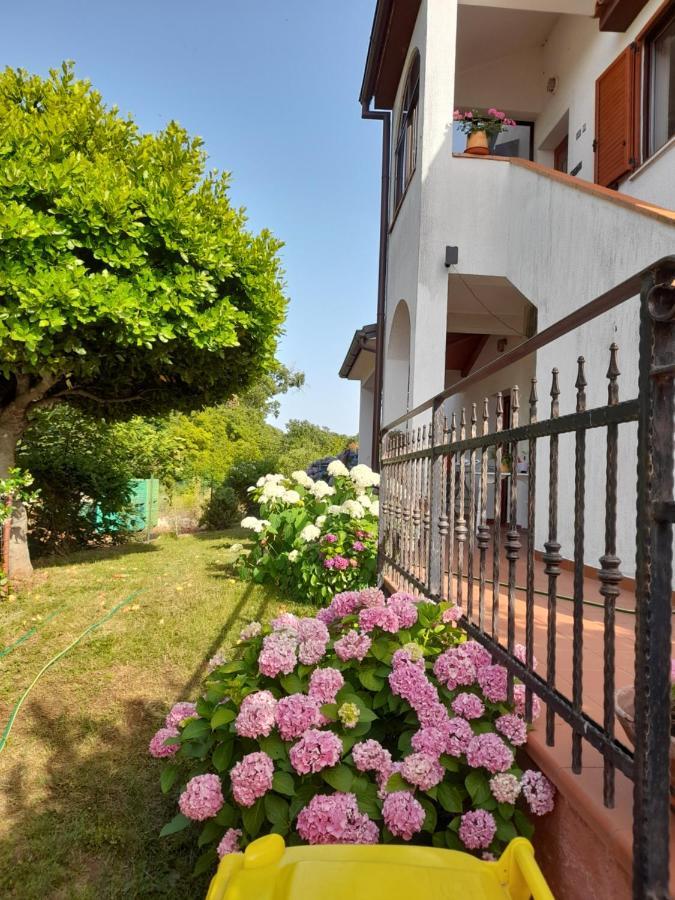Villa Iva Porec Exterior photo